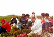 34. Ozeblin, 2002.